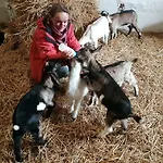 Palac Lawica- Splywy Przelomem Bardzkim Farm stay *