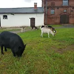 Farma Palac Lawica- Splywy Przelomem Bardzkim *