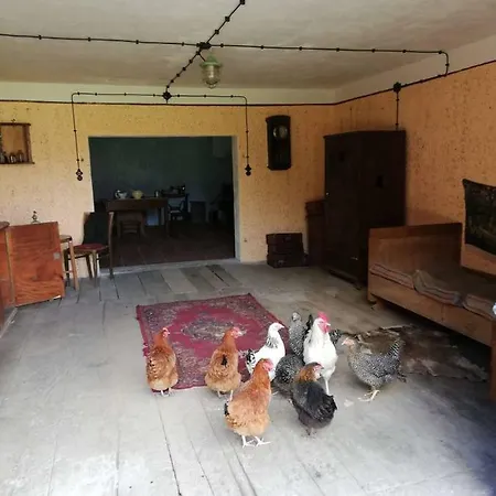 Palac Lawica- Splywy Przelomem Bardzkim Çiftlik konaklama