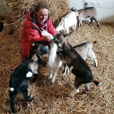 Palac Lawica- Splywy Przelomem Bardzkim Çiftlik konaklama *