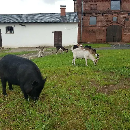 Vakantieboerderij Palac Lawica- Splywy Przelomem Bardzkim *