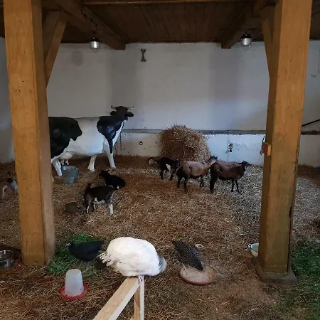 Palac Lawica- Splywy Przelomem Bardzkim