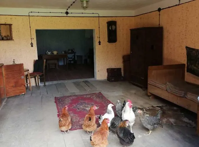 Palac Lawica- Splywy Przelomem Bardzkim مزرعة للإقامة