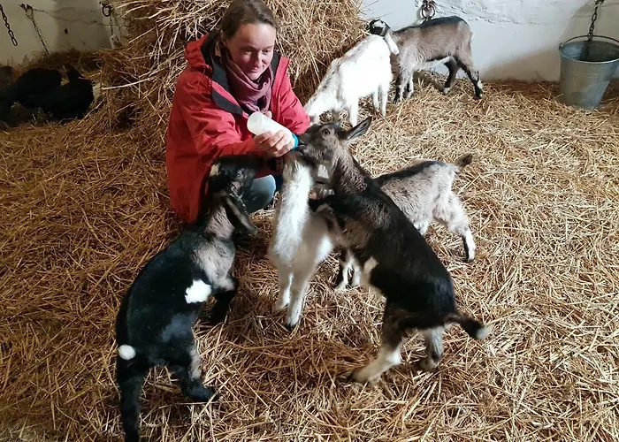 Palac Lawica- Splywy Przelomem Bardzkim مزرعة للإقامة *