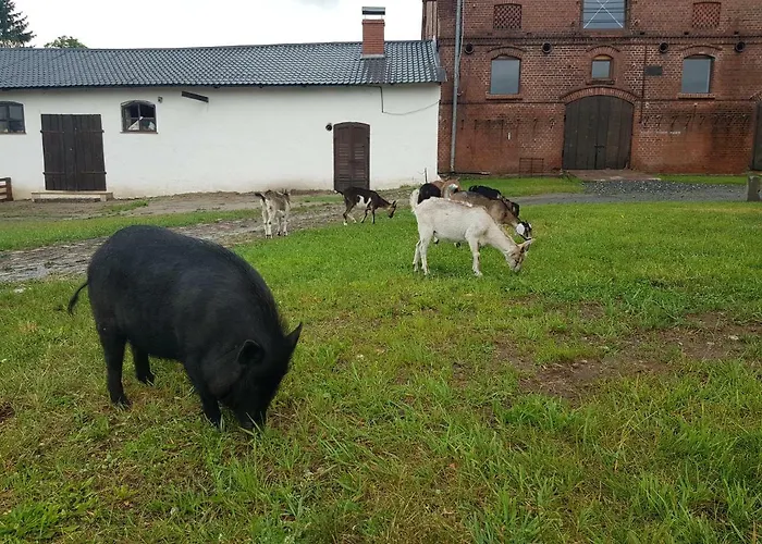 农家乐 Palac Lawica- Splywy Przelomem Bardzkim *