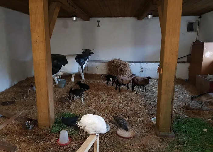 Palac Lawica- Splywy Przelomem Bardzkim