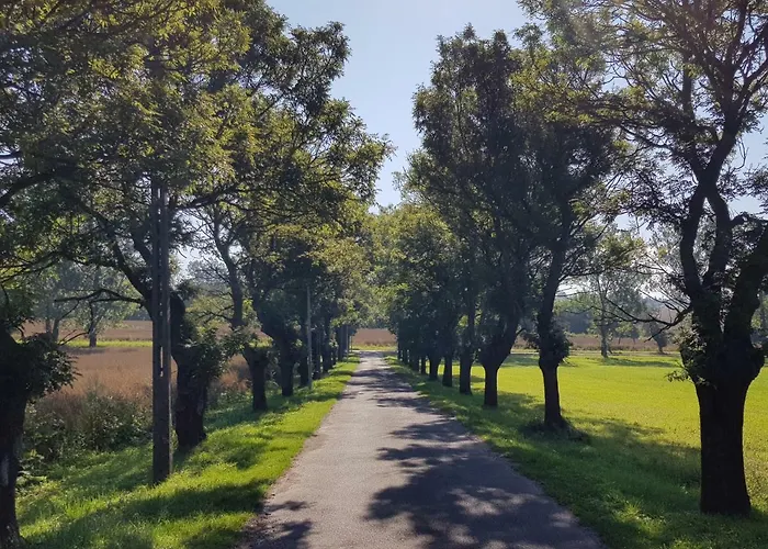 مزرعة للإقامة Palac Lawica- Splywy Przelomem Bardzkim